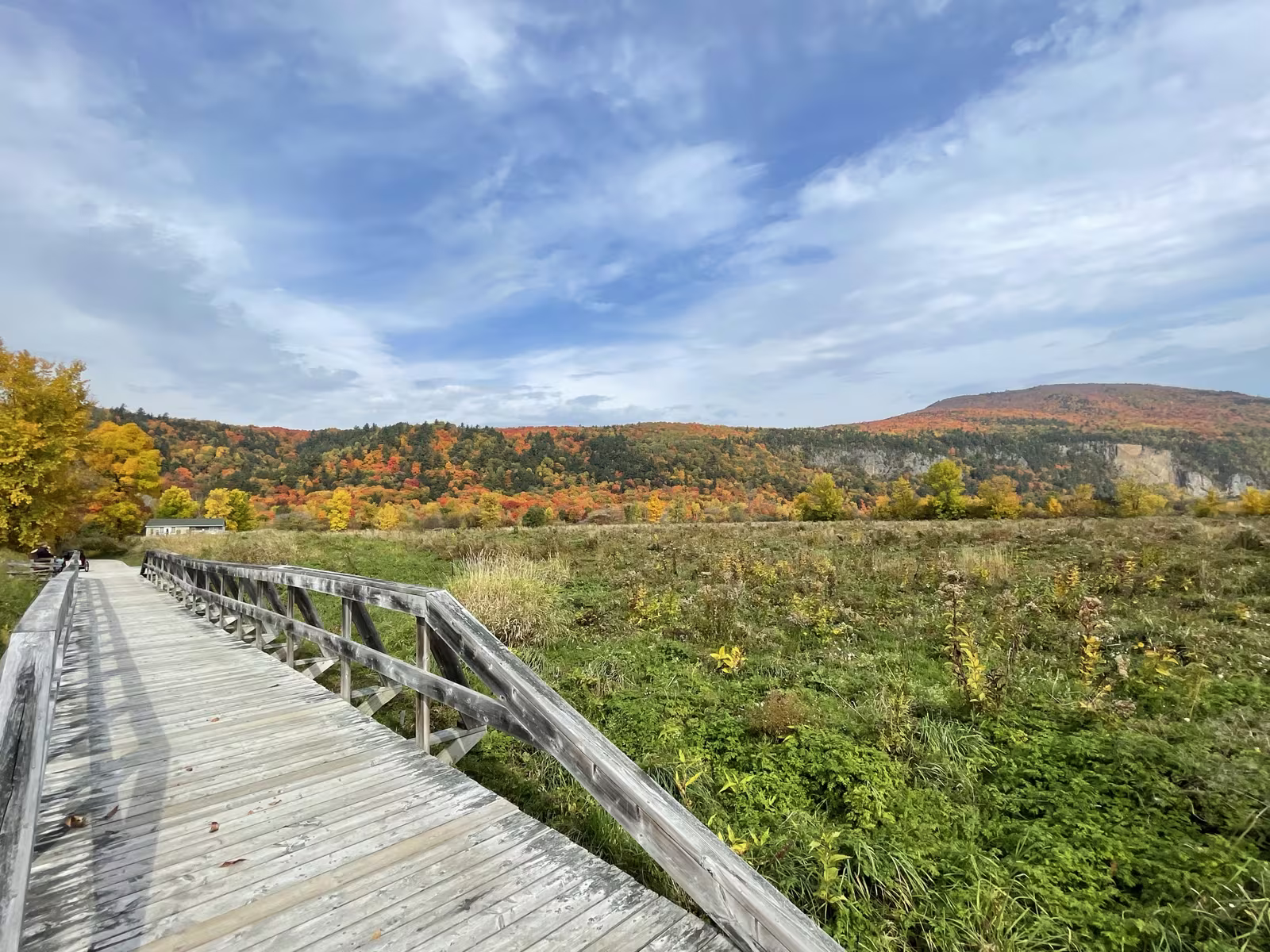 Passerelle de bois et forêt aux couleurs d'automne au Québec