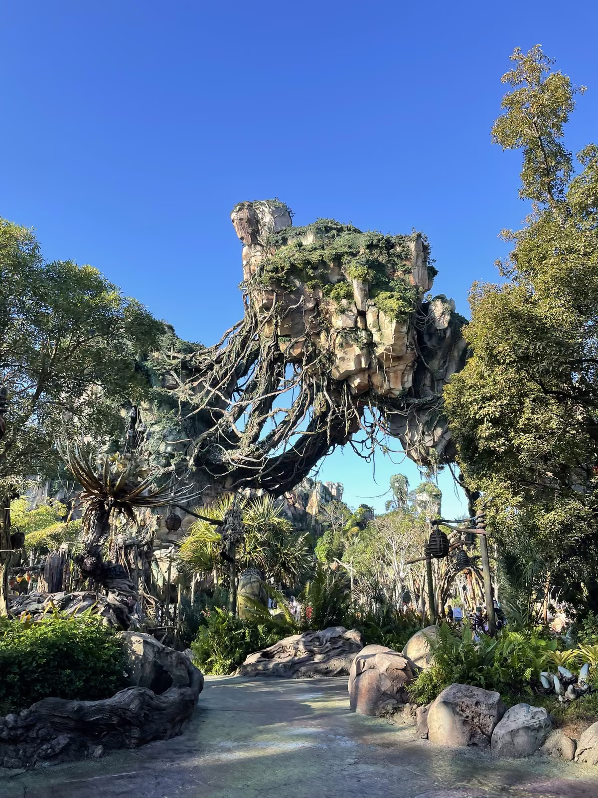 Les montagnes flottantes de Pandora dans le parc Animal Kingdom