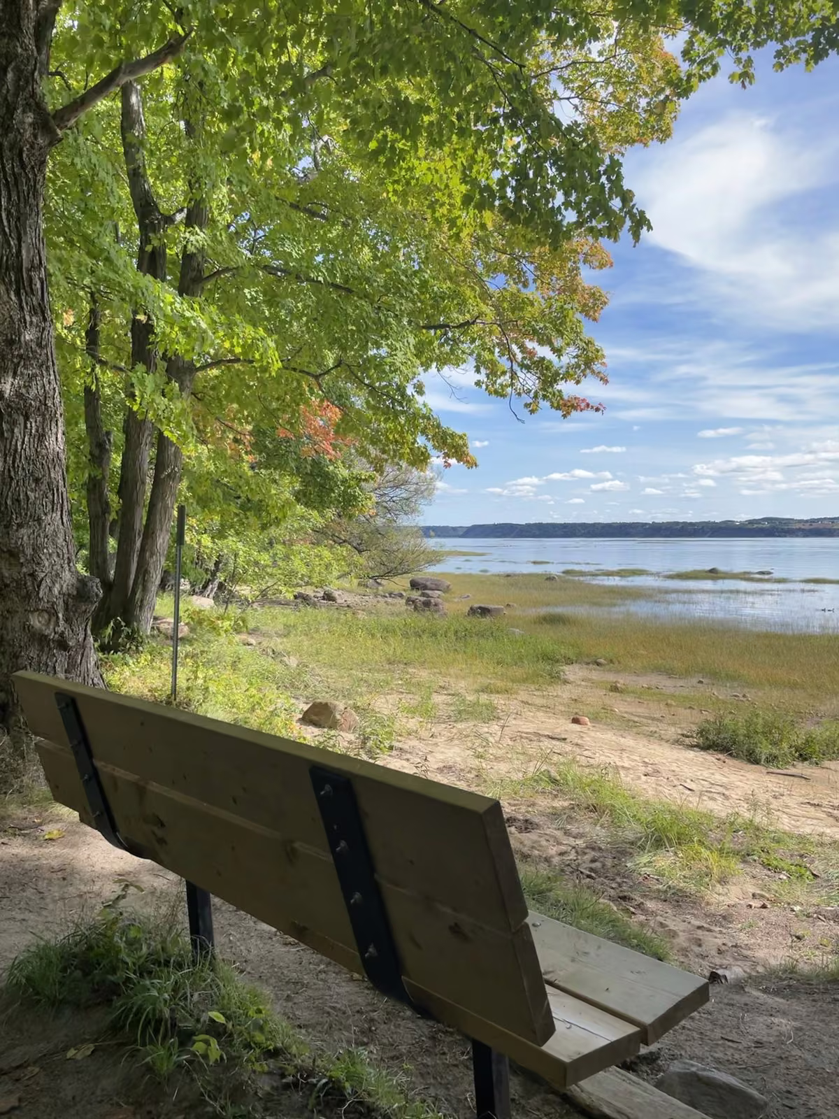 Banc sous les érables aux premières couleurs d'automne face au fleuve Saint-Laurent