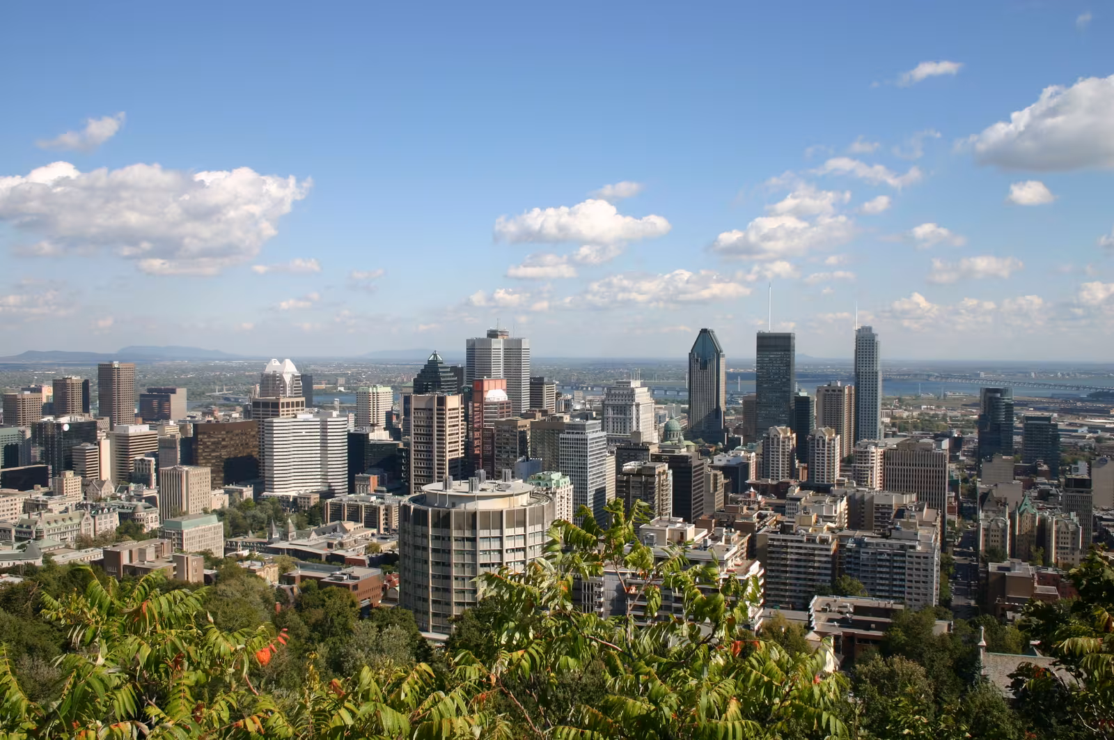 Vue sur les gratte-ciel de Montréal depuis le belvédère du mont Royal