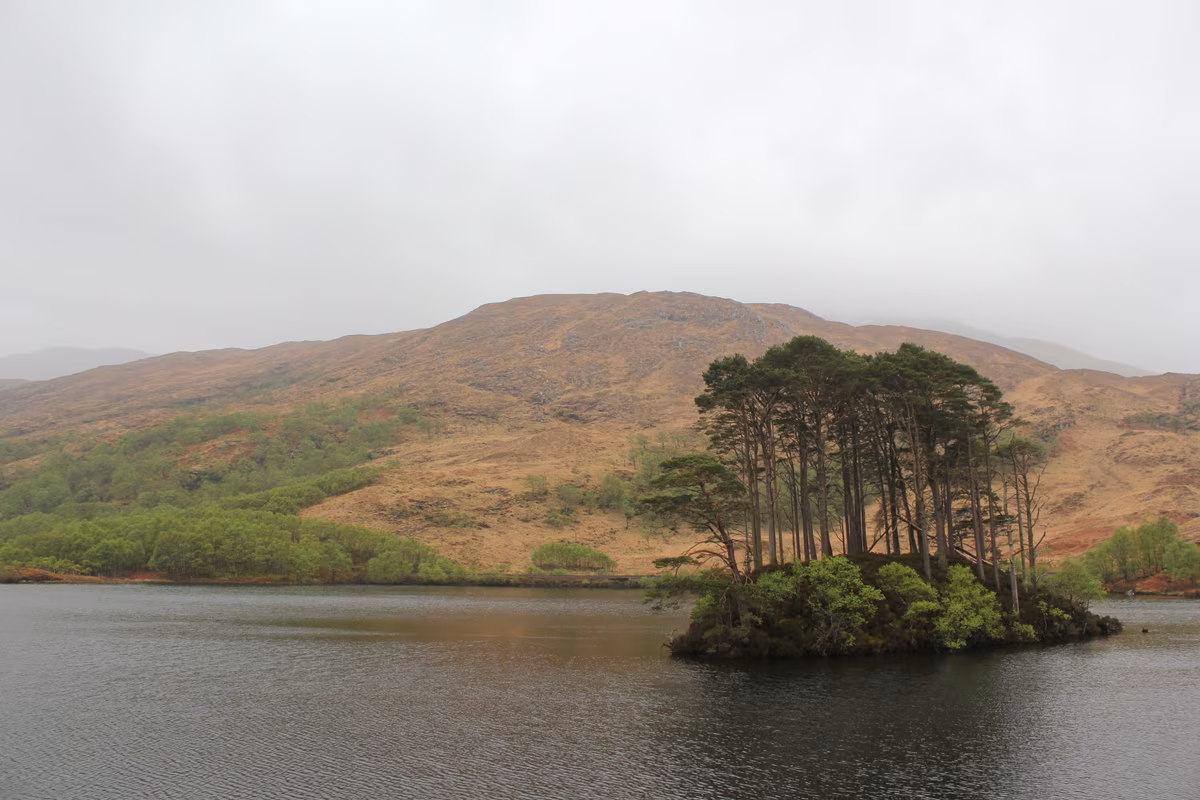 L'îlot boisé d'Eilean na Moine sur le Loch Eilt, lieu des funérailles de Dumbledore
