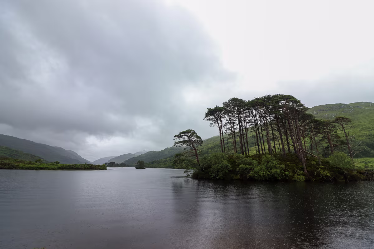 L'îlot boisé d'Eilean na Moine sur le Loch Eilt, lieu des funérailles de Dumbledore