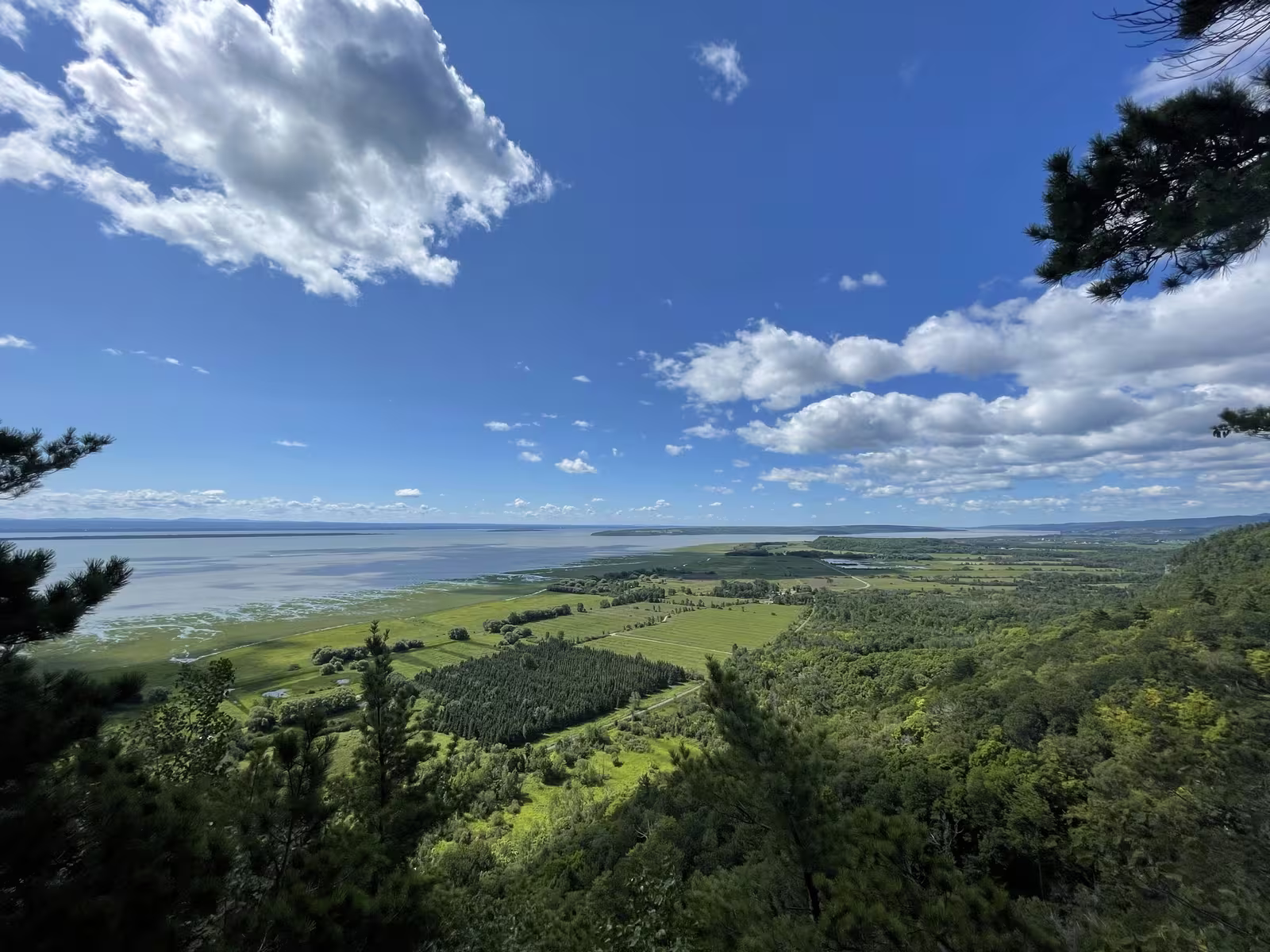 Point de vue sur le fleuve Saint-Laurent et les battures depuis le Cap Tourmente
