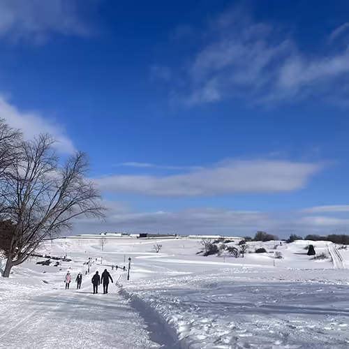 L'hiver au Québec en famille
