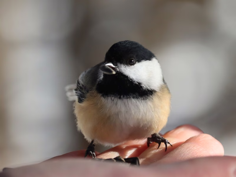 Le Marais Léon-Provancher en famille, la sortie nature près de Québec