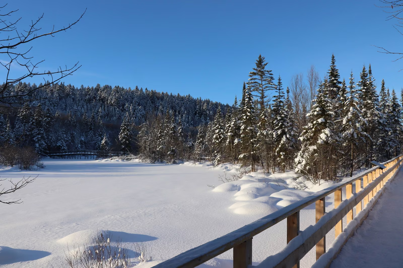 Passerelle de bois enneigée au bord d'un marais gelé dans un parc du Québec en hiver