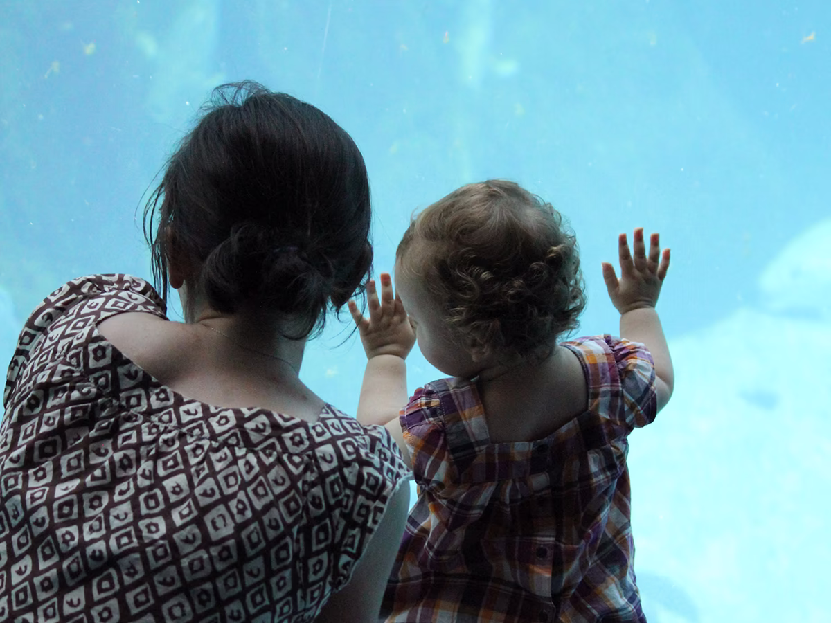 Voyager en famille - Un aquarium